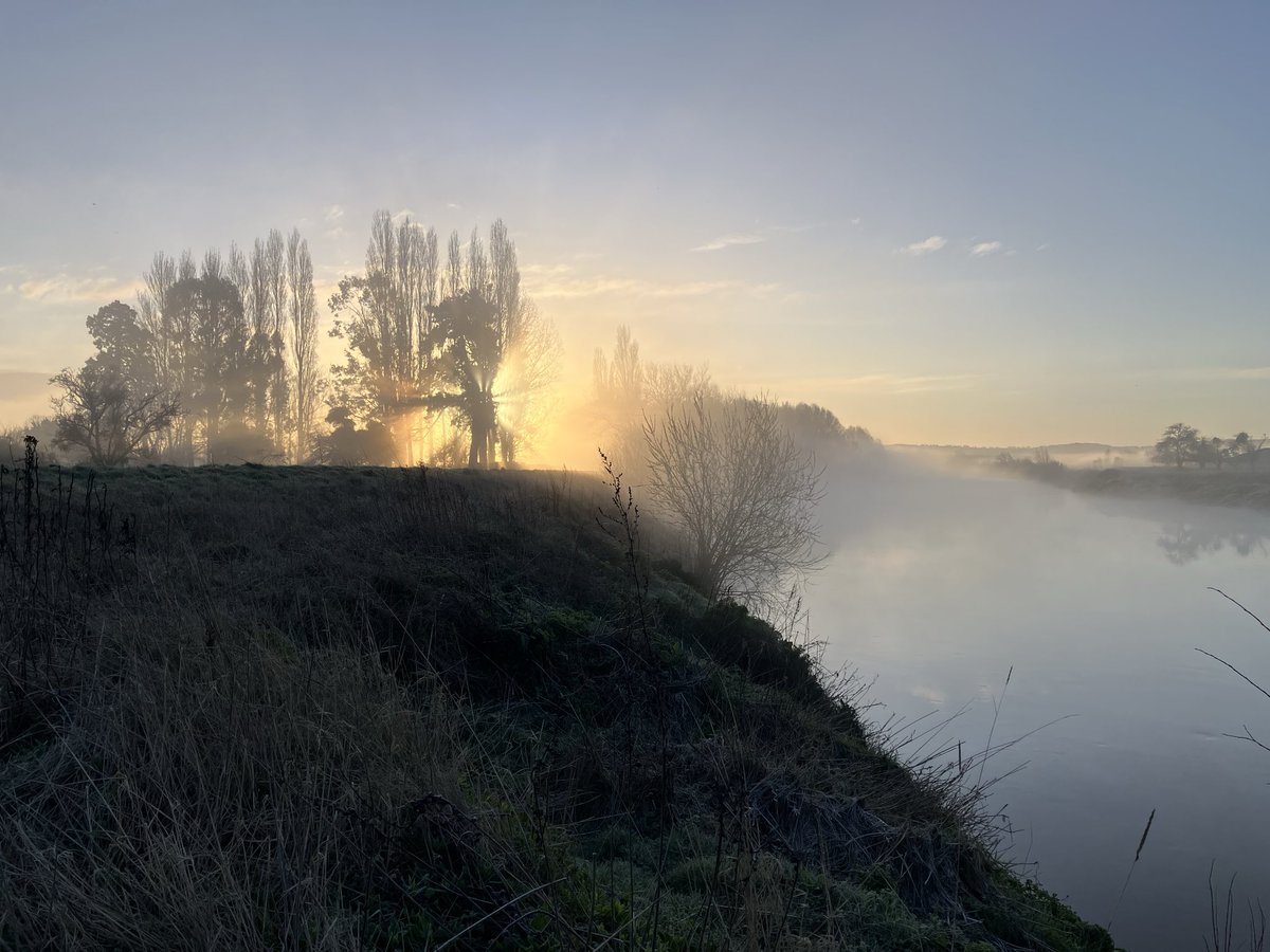 Matt Hart tweet media