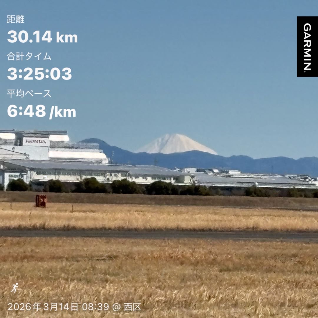 月下颯走 tweet media