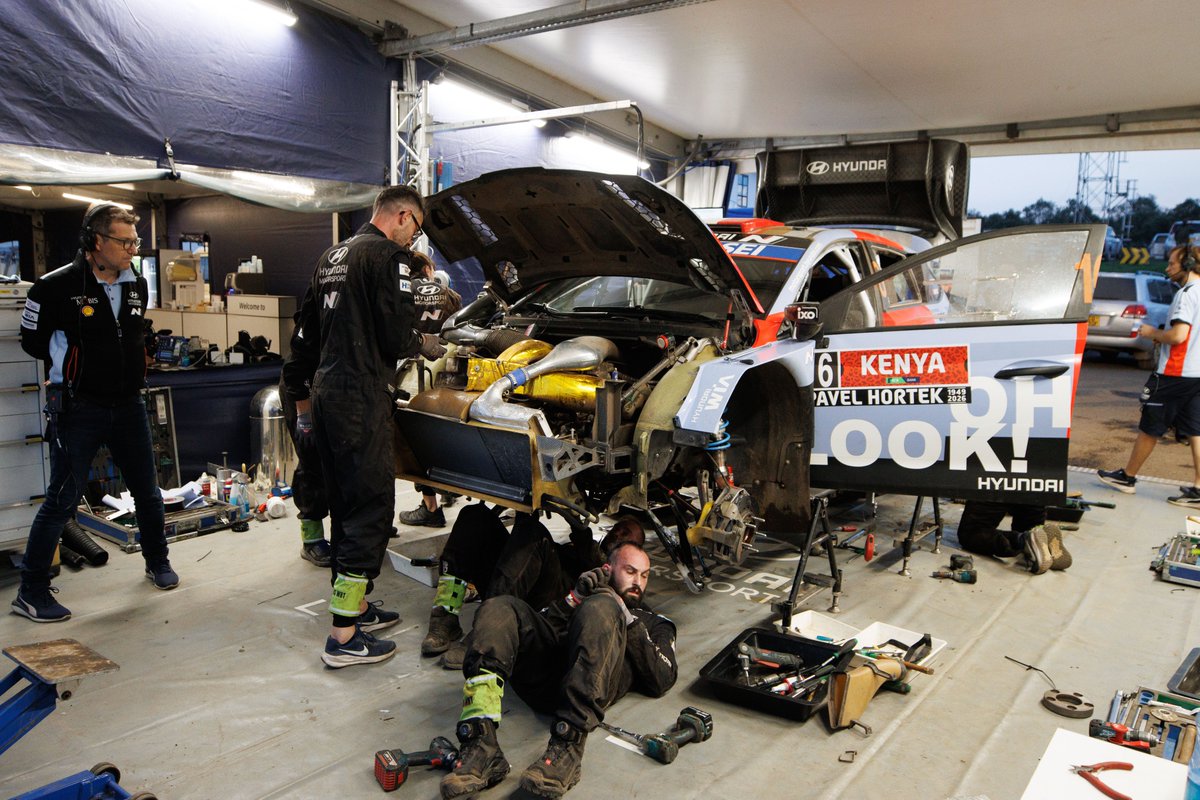 Protel Studios tweet media