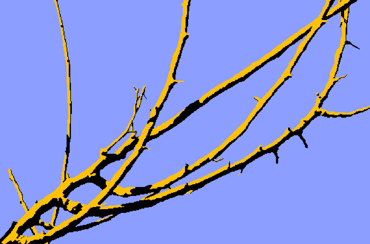 Mark Travaille tweet media