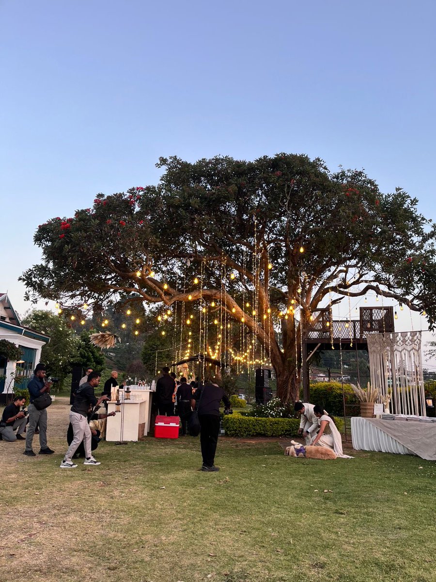 Aseem Anand 🇮🇳 tweet media