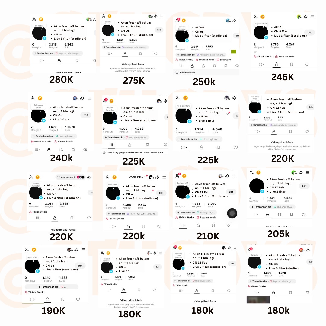 nata • Jual Beli Akun TikTok | stucdys tweet media