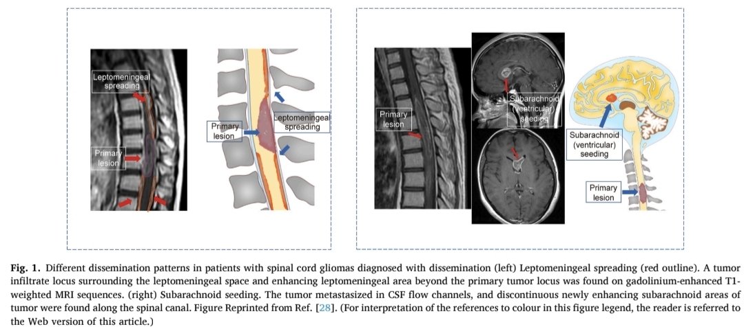 Rohit Malde tweet media