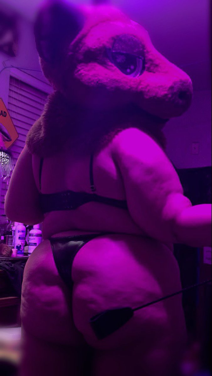 Kenneled.AD 》TFF tweet media