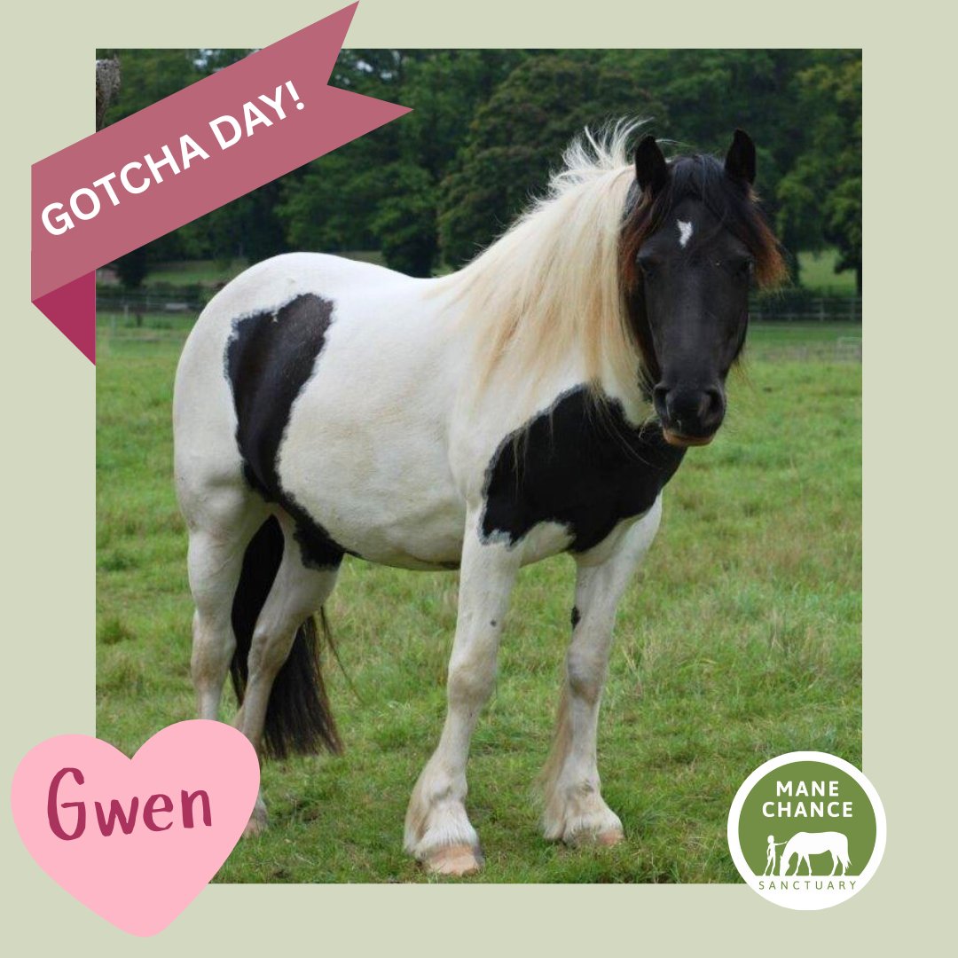 Mane Chance tweet media