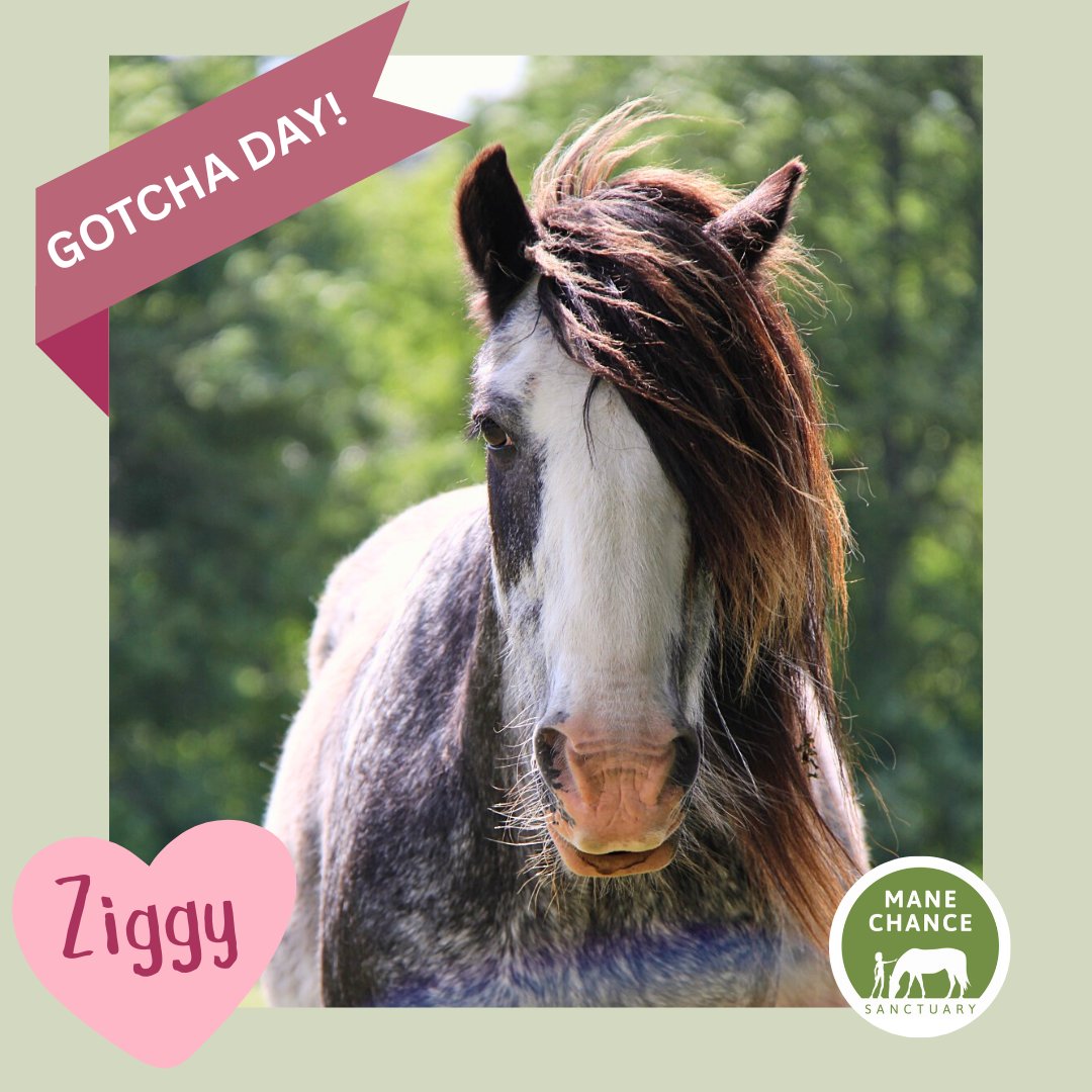 Mane Chance tweet media