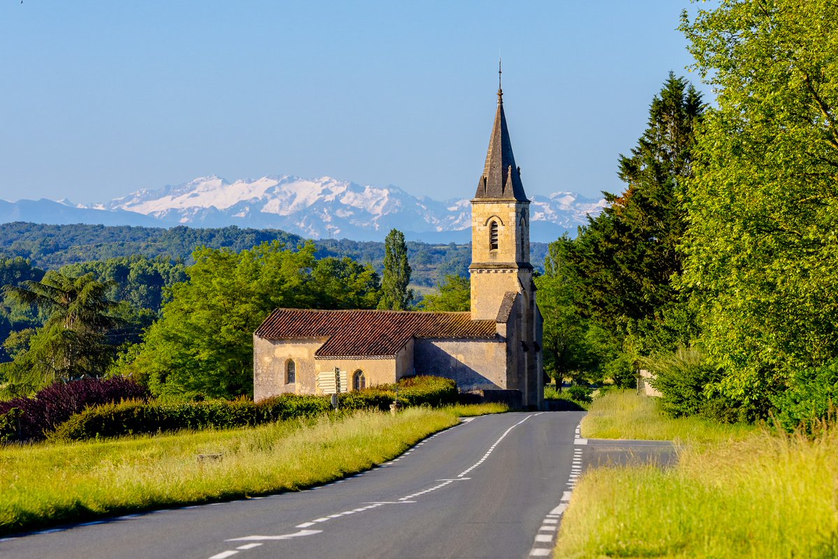 STRONGG 🎒📈 tweet media