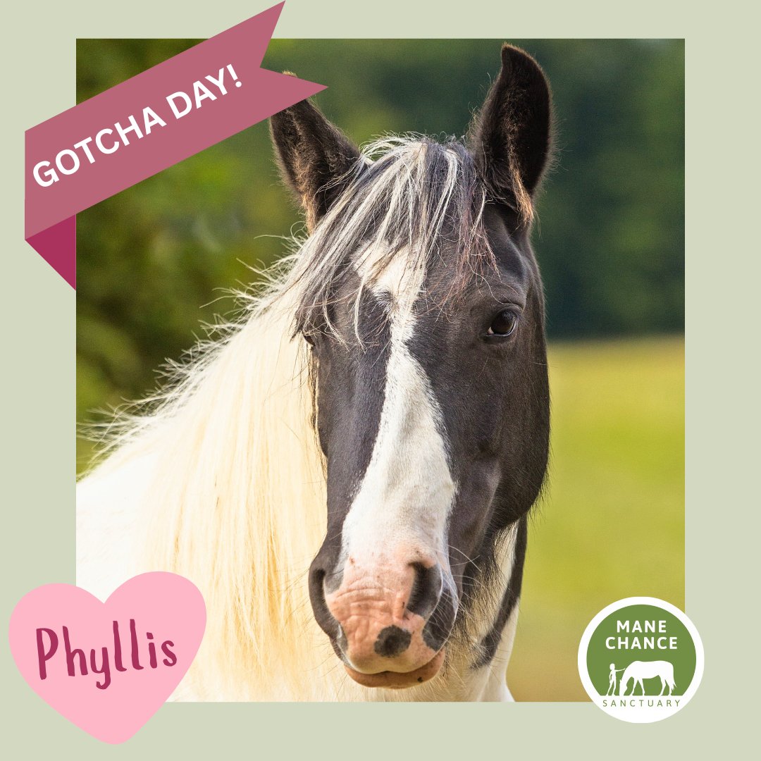 Mane Chance tweet media