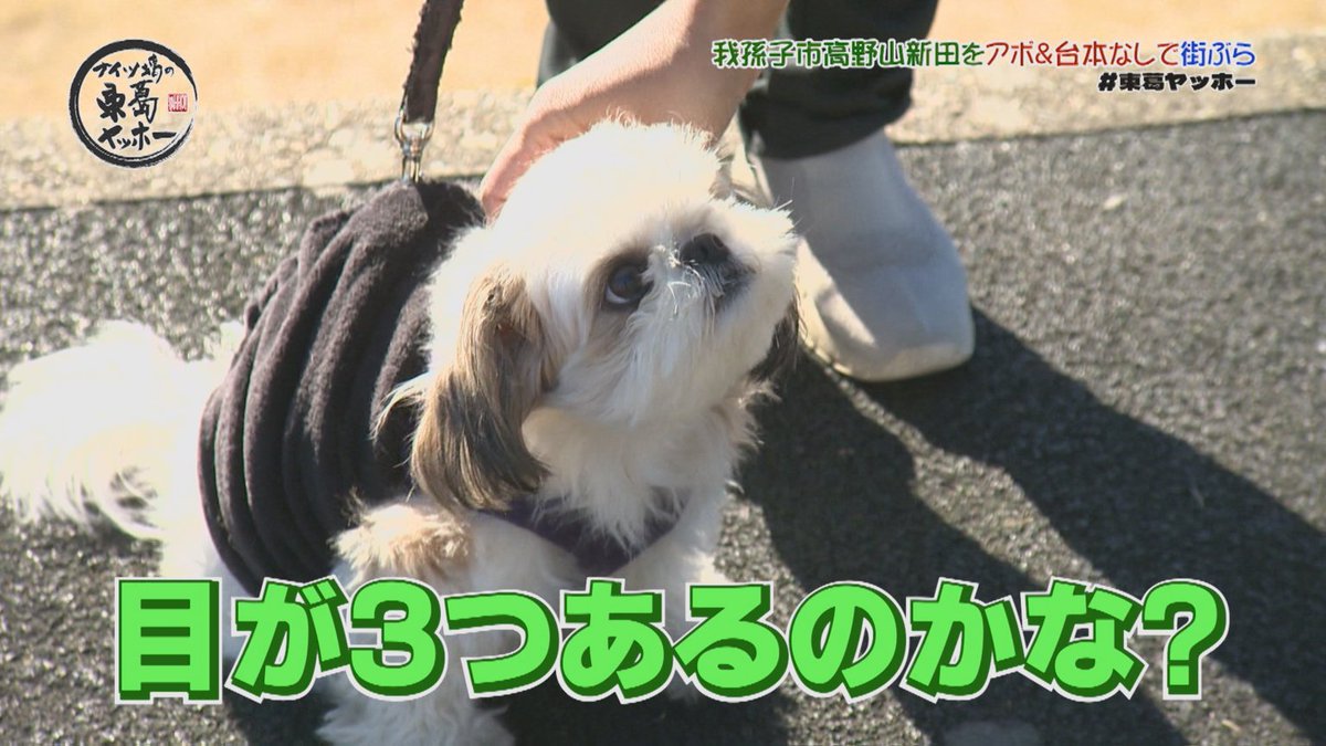 J:COM｜千葉エリア tweet media