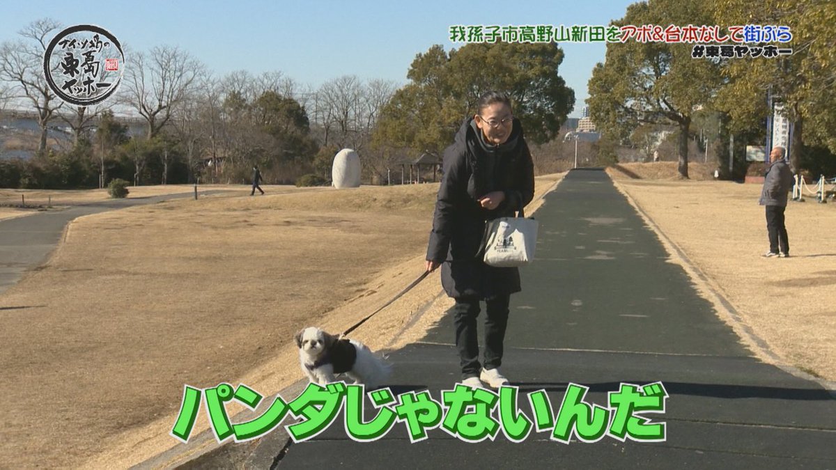 J:COM｜千葉エリア tweet media