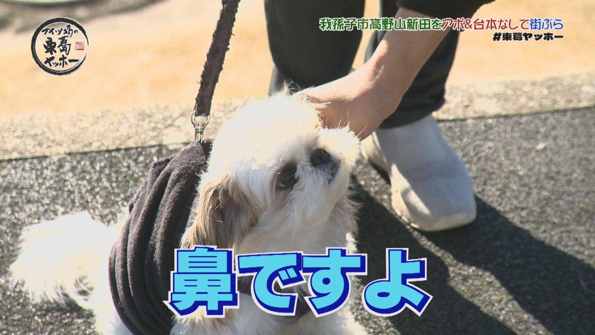 J:COM｜千葉エリア tweet media