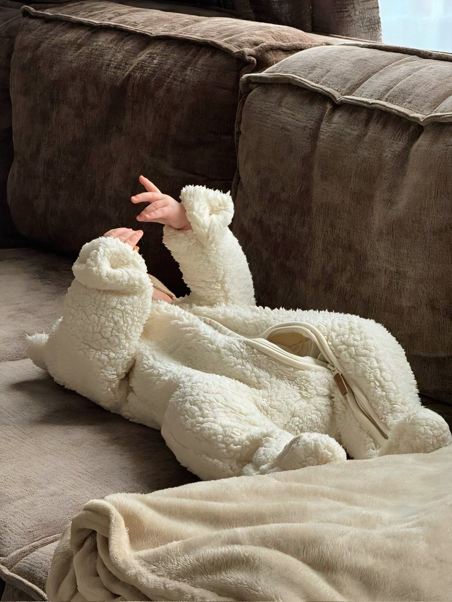 حياه | 𝐿𝑖𝑓𝑒 🍃 tweet media