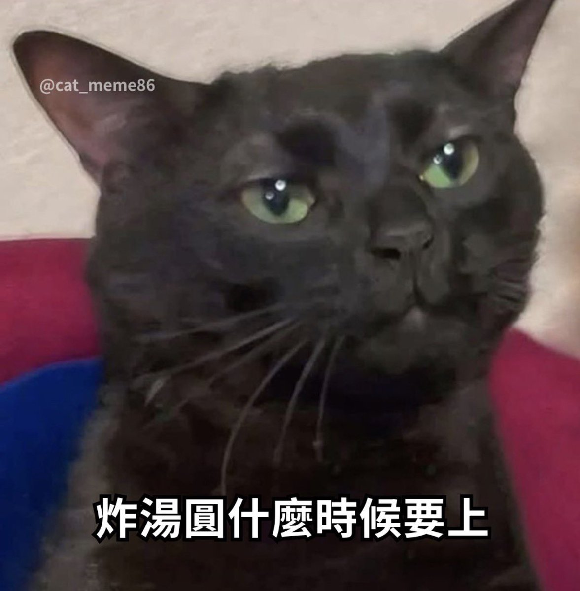 ᶻ 𝗓 𐰁 tweet media