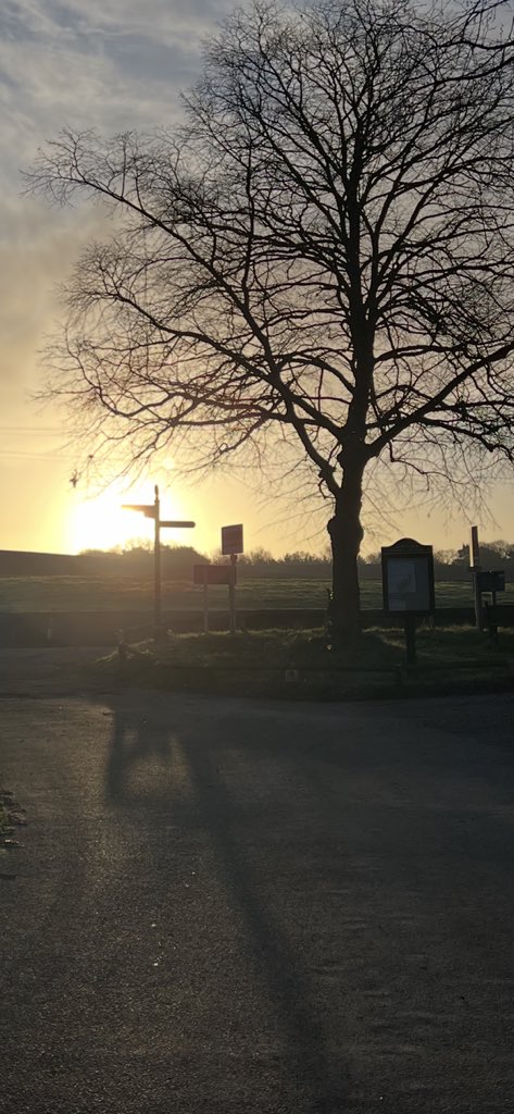 gary webster tweet media