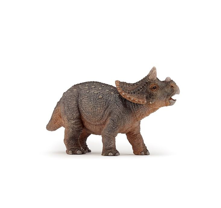 Triceratops tweet media