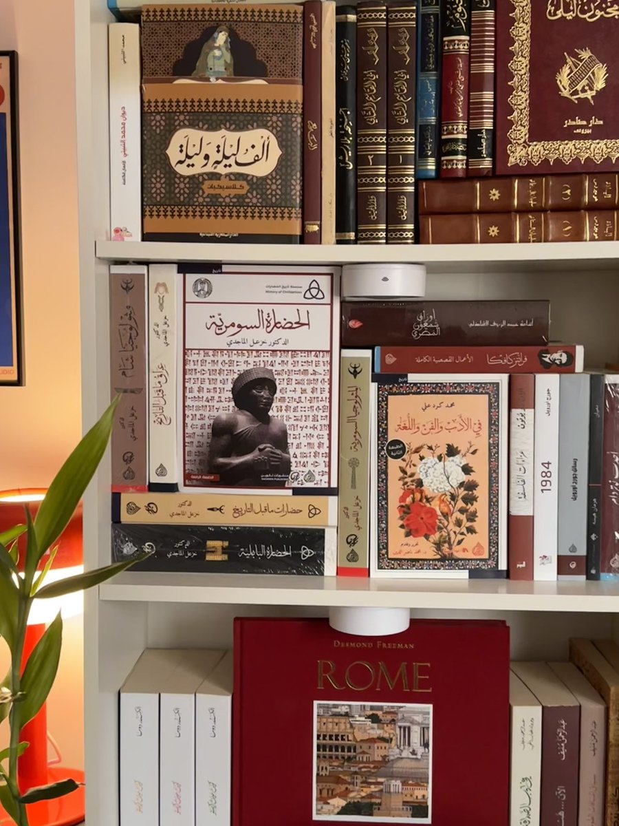 -LUJAIN- tweet media