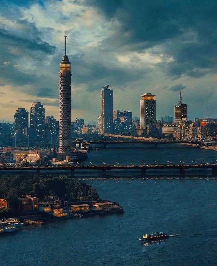 Africa First tweet media