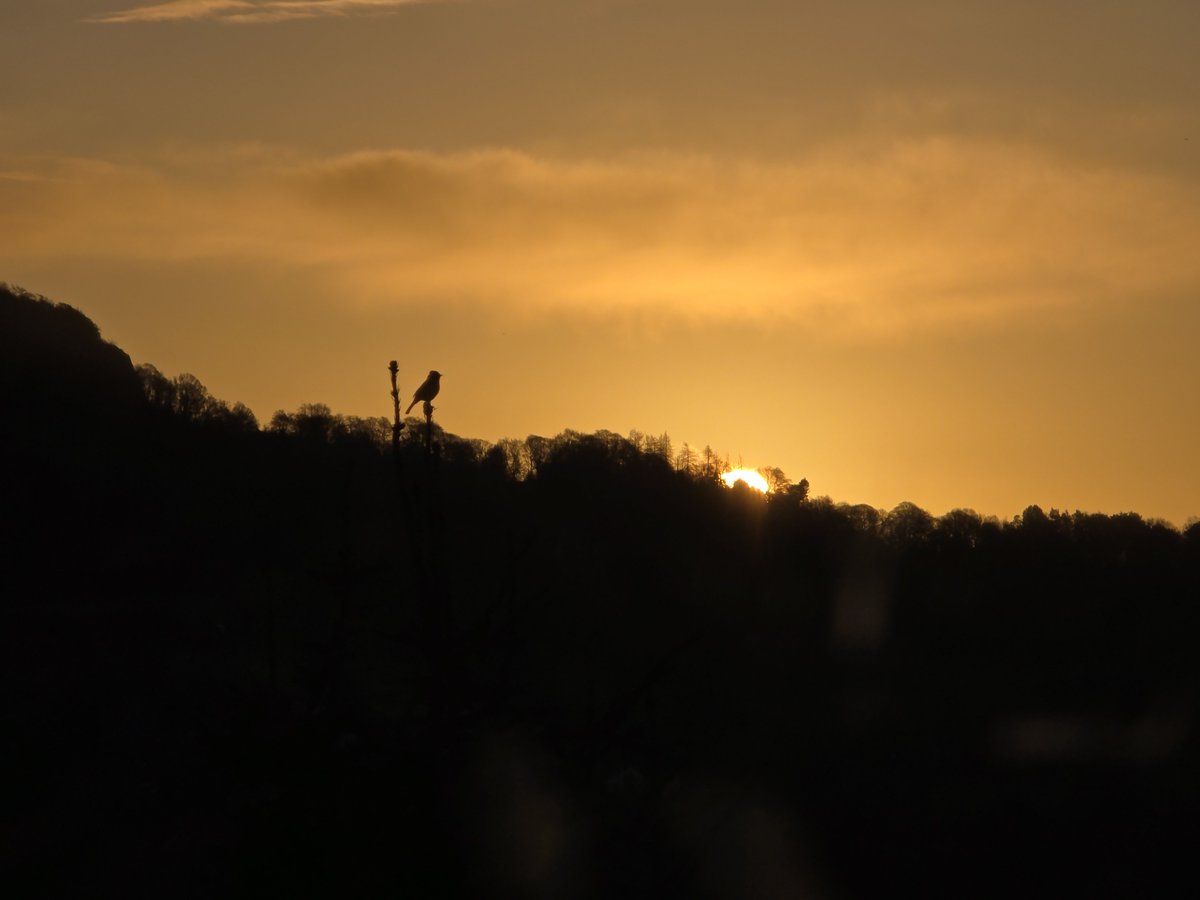 Stuart Cowper tweet media