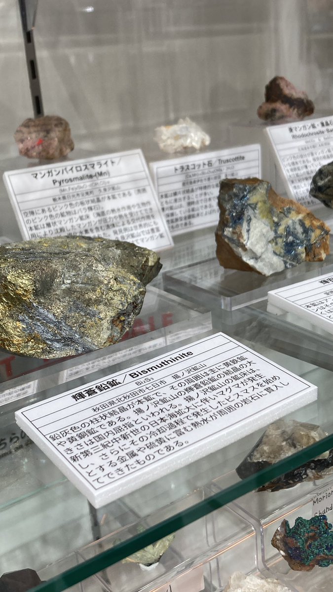 ミネラルマルシェTOKYOミュージアム tweet media