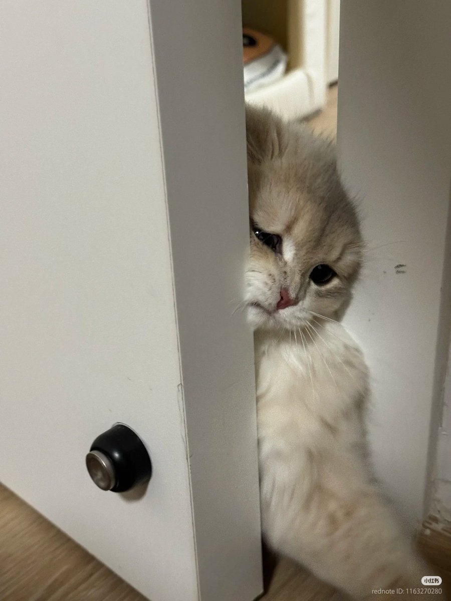 Let me in!! 😫😥