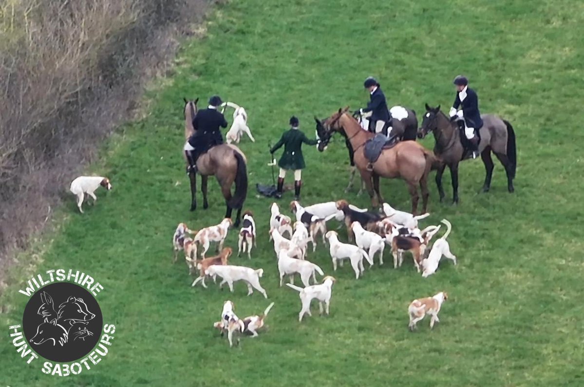Wiltshire Hunt Saboteurs tweet media