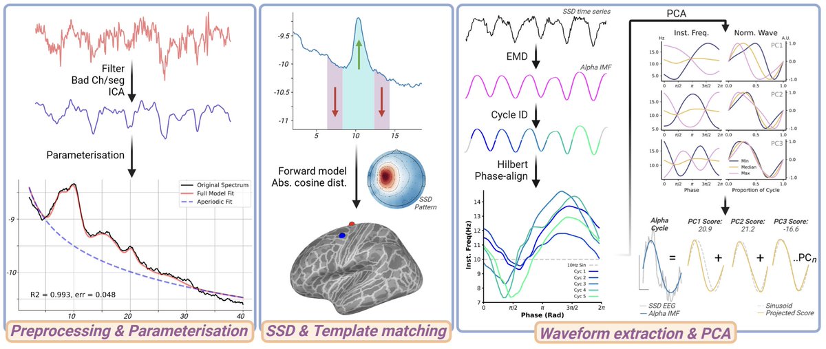 Imaging Neuroscience tweet media