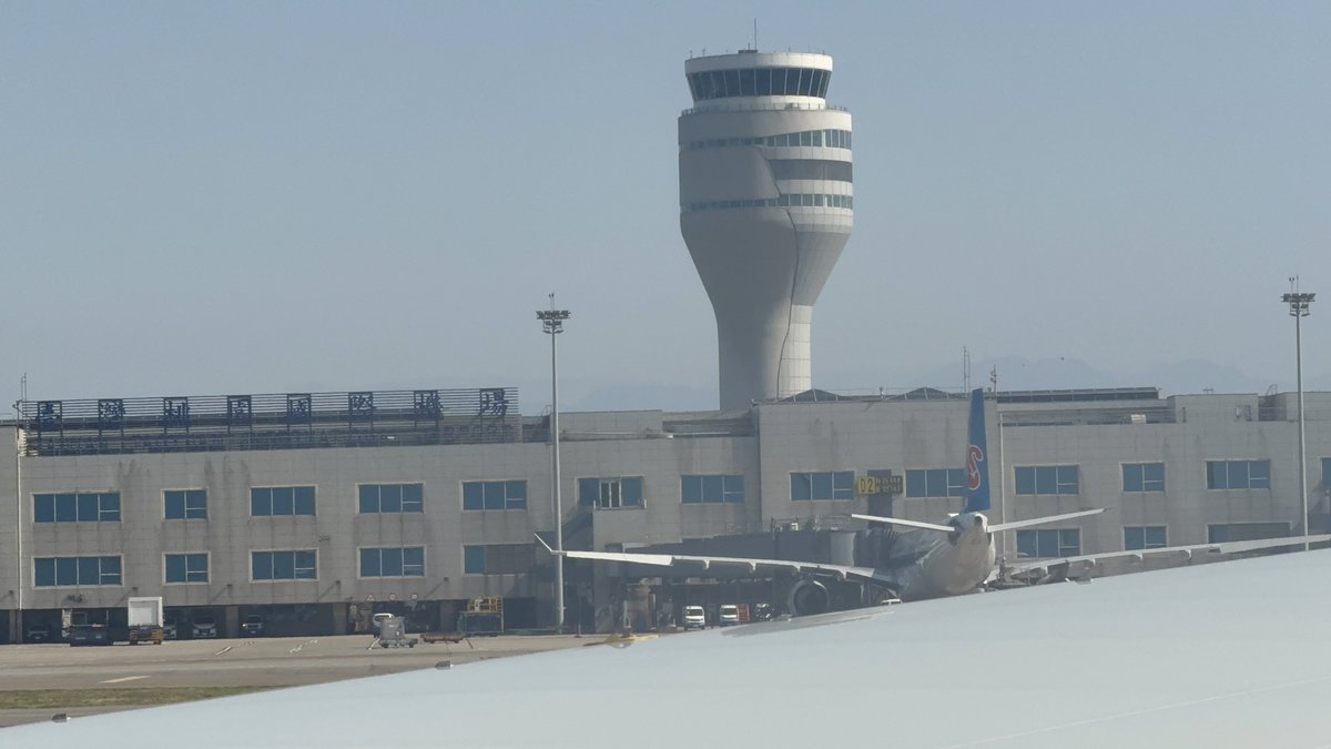 まくん 棕色是正義 tweet media