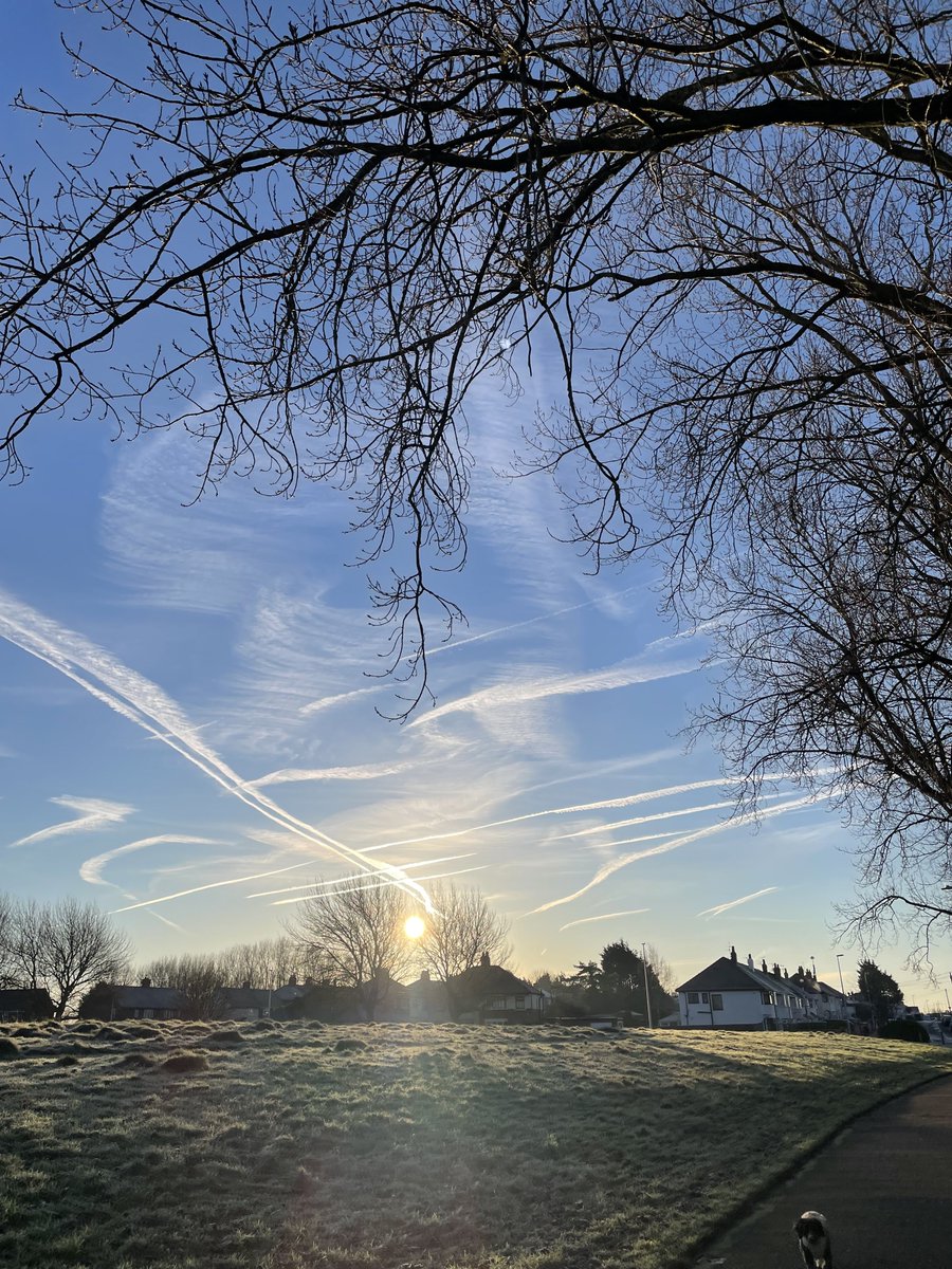 Tony Warne tweet media