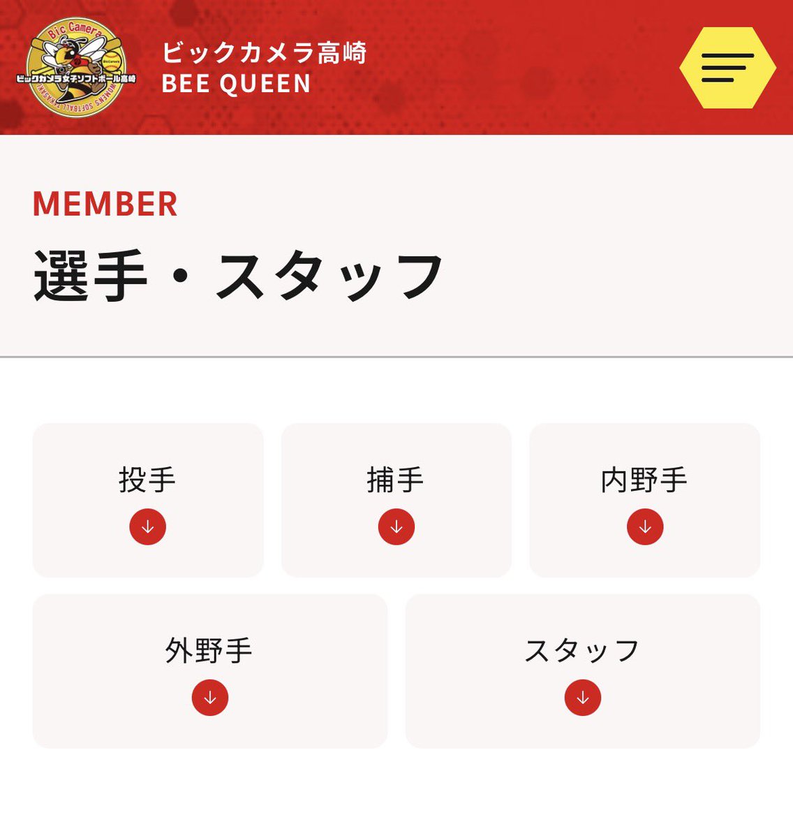 ビックカメラ女子ソフトボール高崎 tweet media