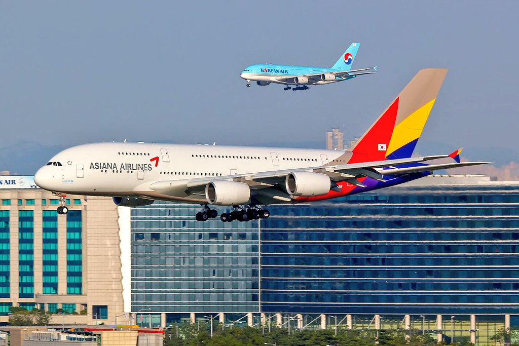 WingX Aviation tweet media