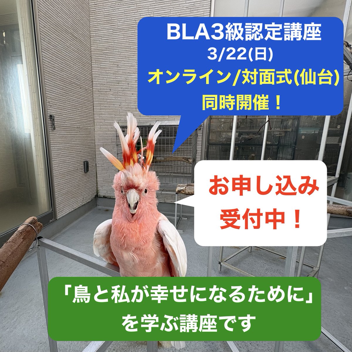 認定NPO法人TSUBASA -新施設クラファン達成しました！- tweet media