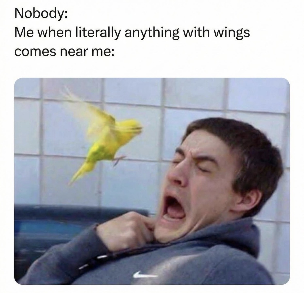 RespectfulMemes's tweet photo. https://t.co/KkxuqCwICK