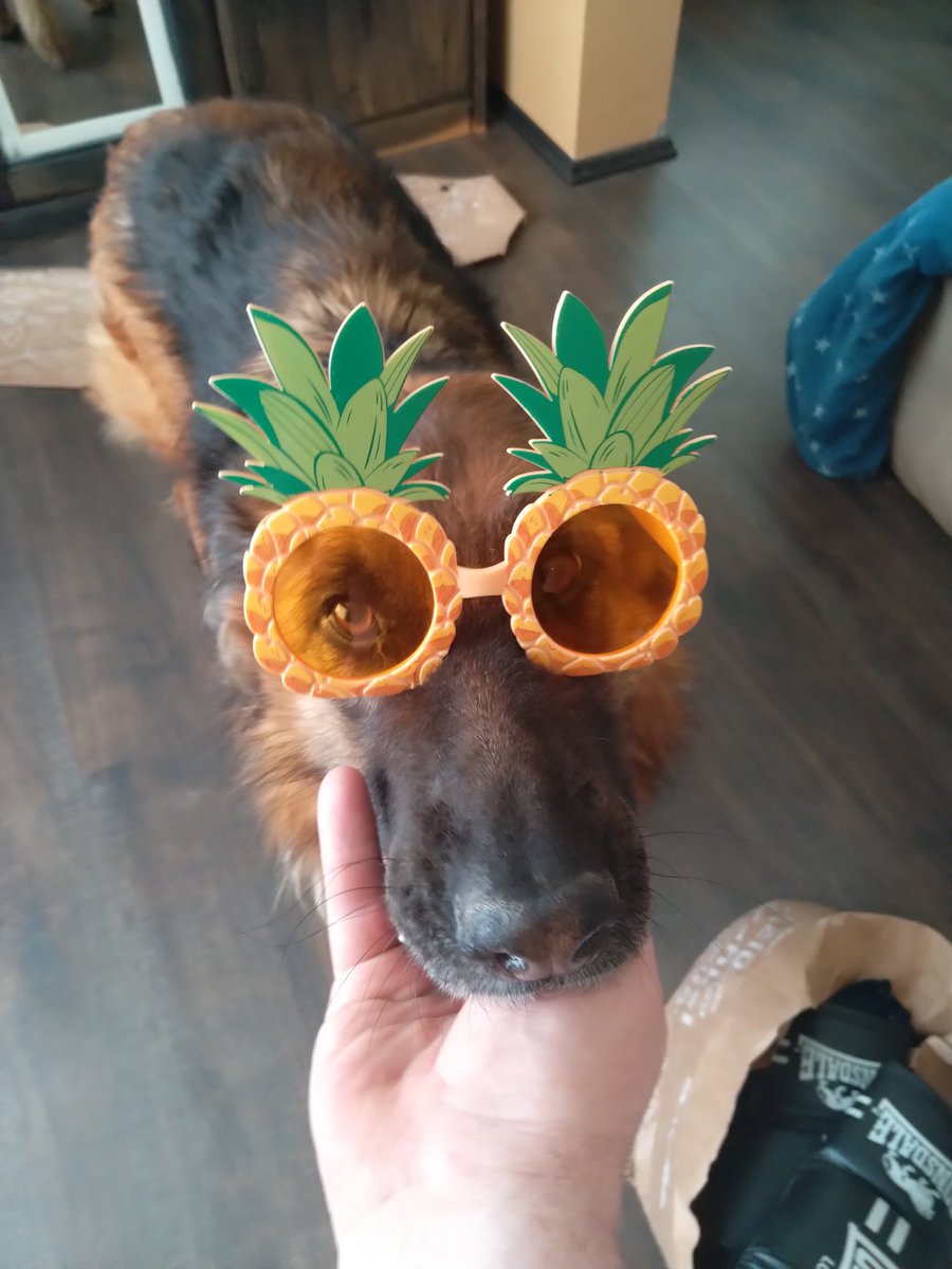 Tvitītis tweet media