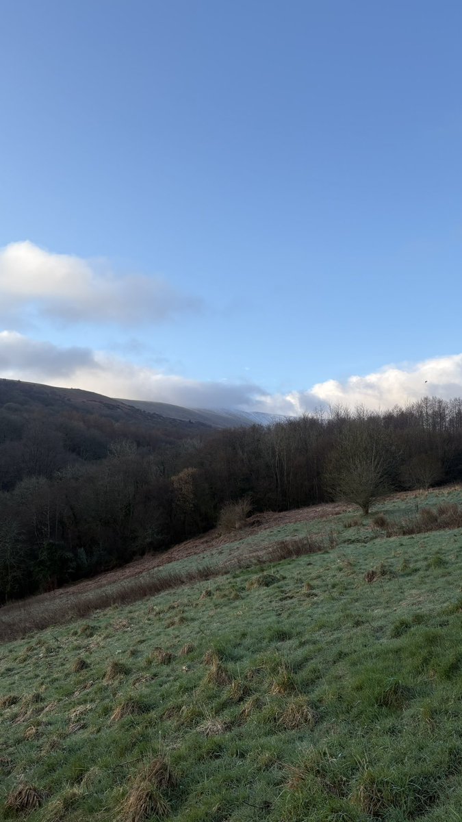 Adventure Academy tweet media