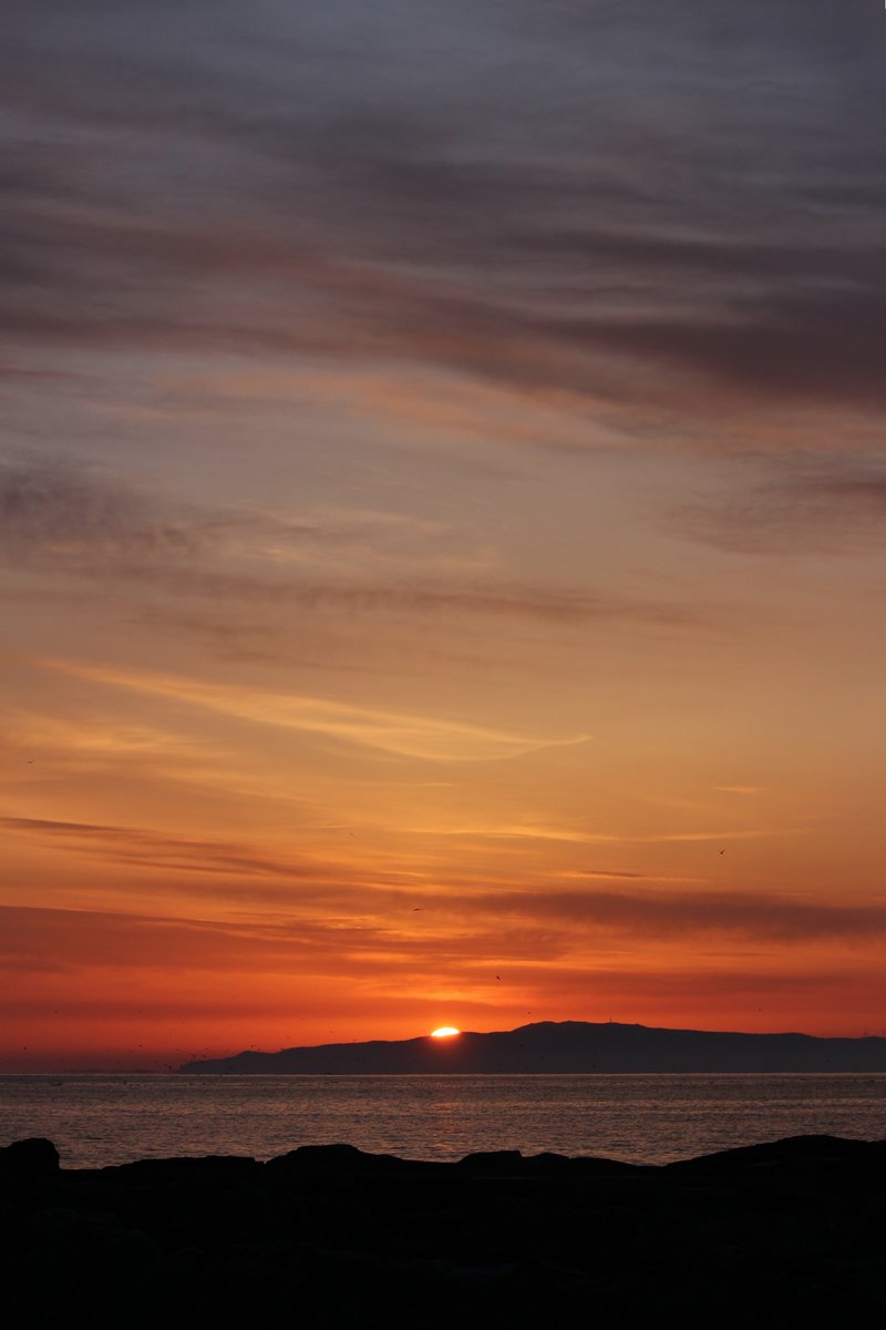 _k_i_n_o_04_'s tweet image. 朝日シリーズ
「①」
#photo
#写真パシャリ
#写真好きな人と繋がりたい
#キヤノン党でほめあいたい #Canon