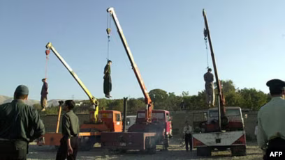 Чеширский_Кот tweet media