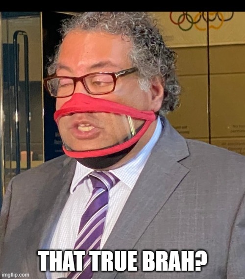 zigs exploration tweet media