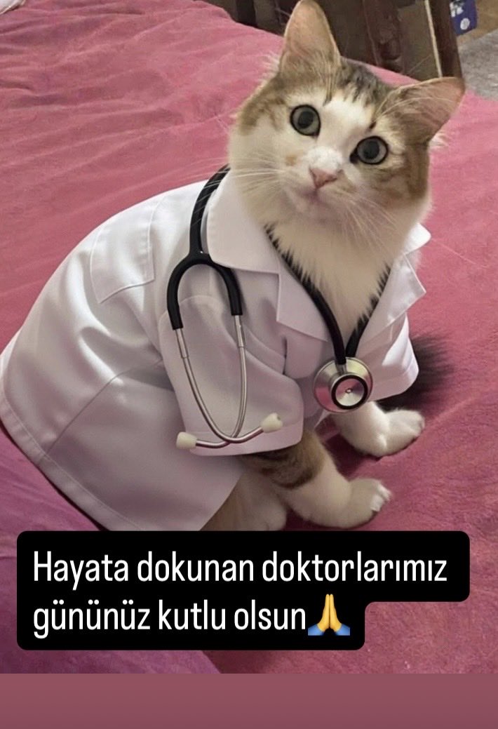 Figen Carilli tweet media