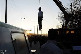 Чеширский_Кот tweet media