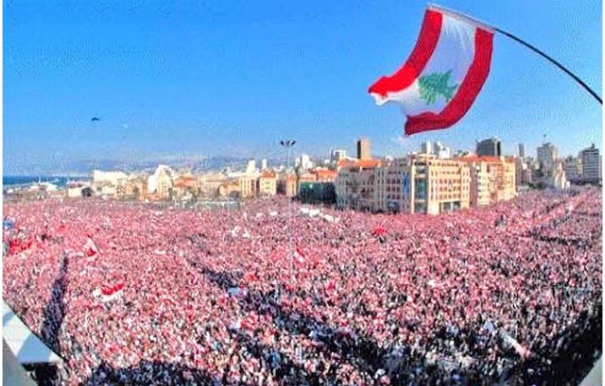 Lina Tannir tweet media