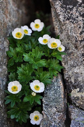 Buongiorno e buon sabato!