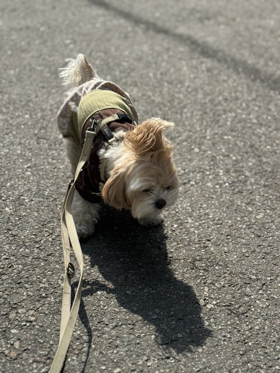 여리❤️ tweet media