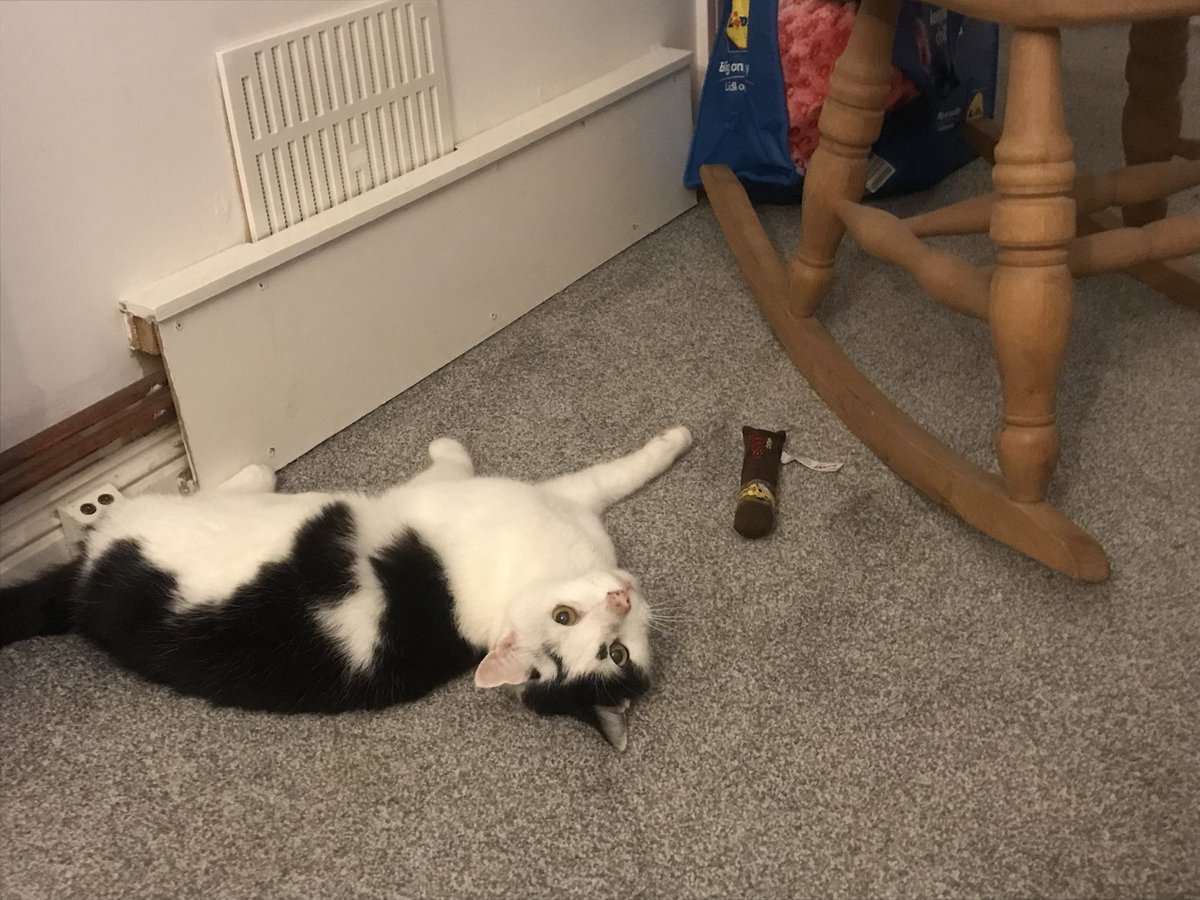 EllieSuthers tweet media