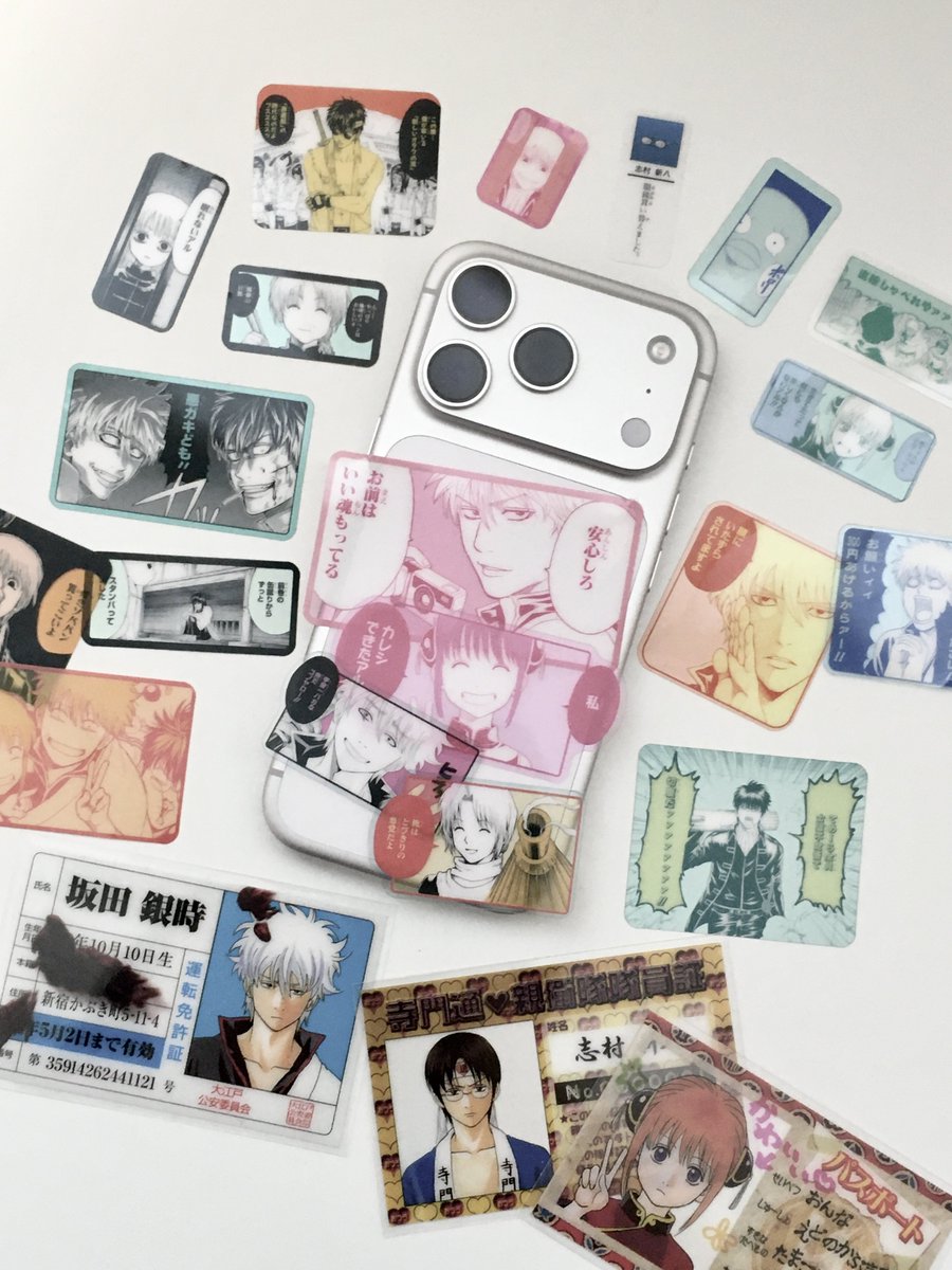 긴쿠마 tweet media