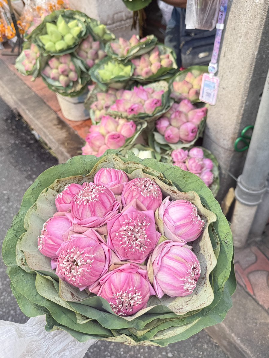 ไม่เคยซื้อดอกบัวเลยพึ่งรู้ว่าบัวถูกมากกก ช่อนี้ 40 เอง พับจัดช่อมาแล้วด้วย🪷🤏🏻