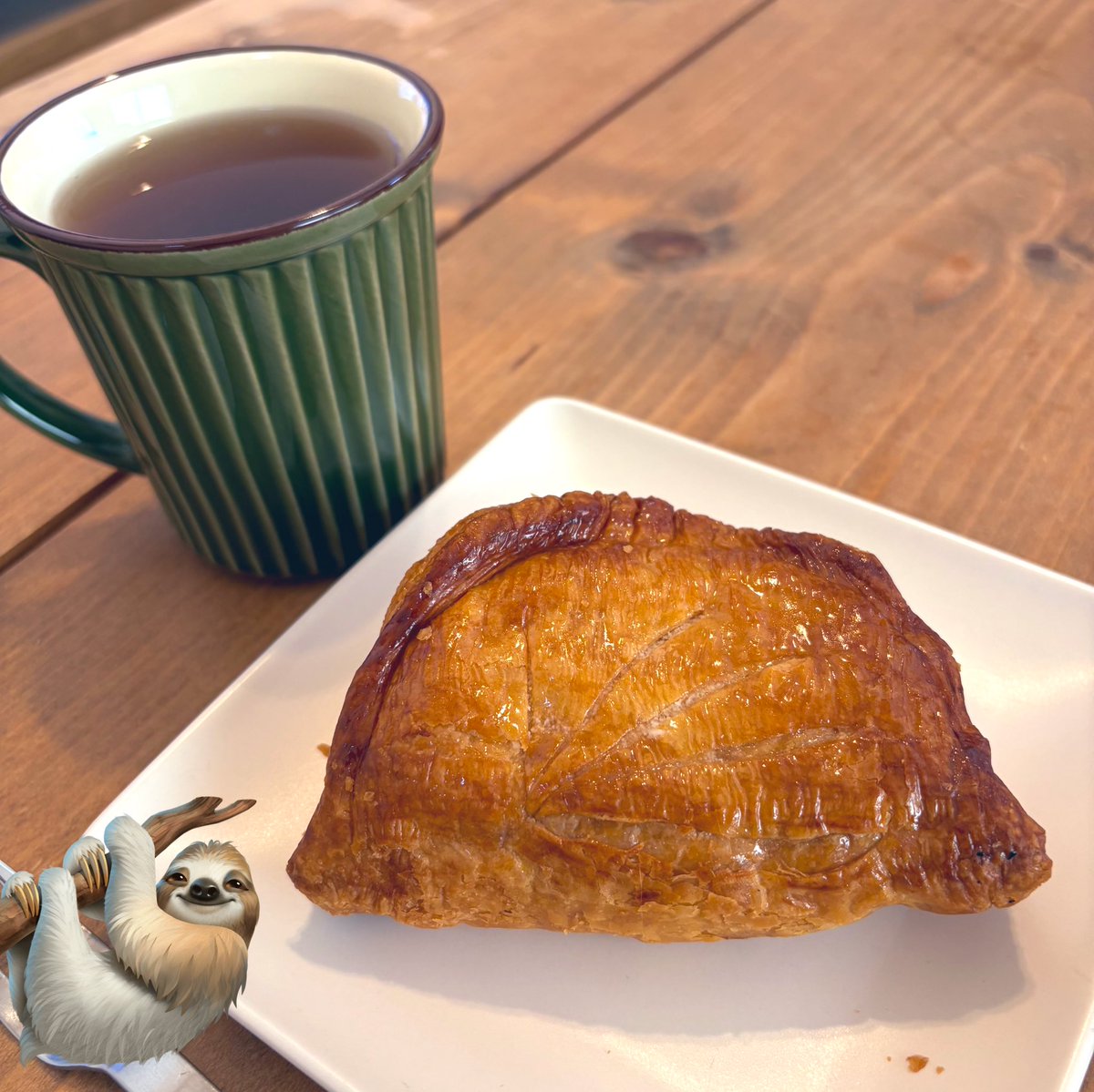 ユズキ🦥 tweet media