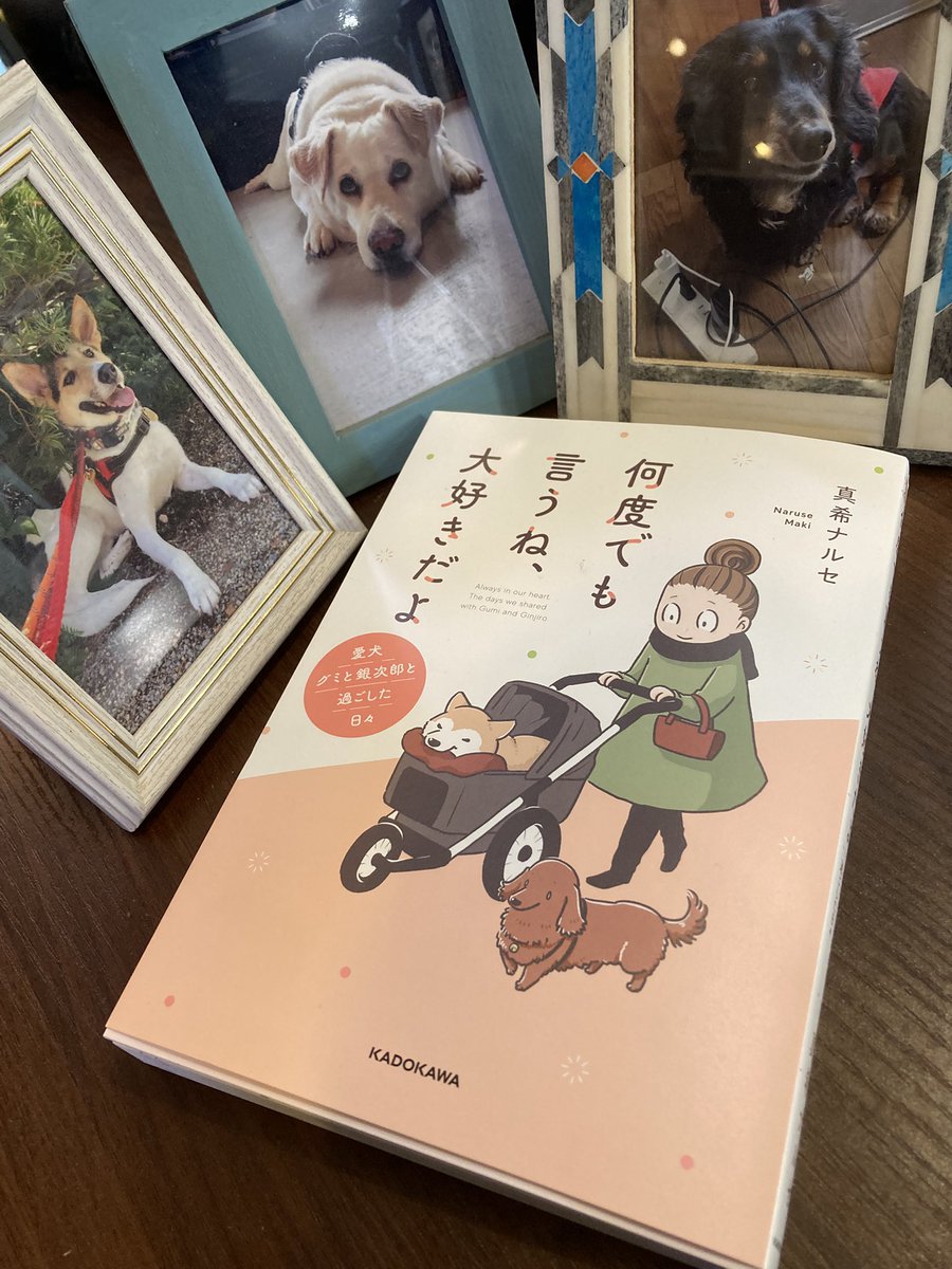 miho_tkhs_amd's tweet photo. 自分の犬を見送った時を思い出したりして最初から泣きっぱなしでした。そして犬たちの描かれ方(顔の表情や歩き方のポテポテ感)がかわいい
#何度でも言うね大好きだよ発売記念 https://t.co/xhZepUC39F