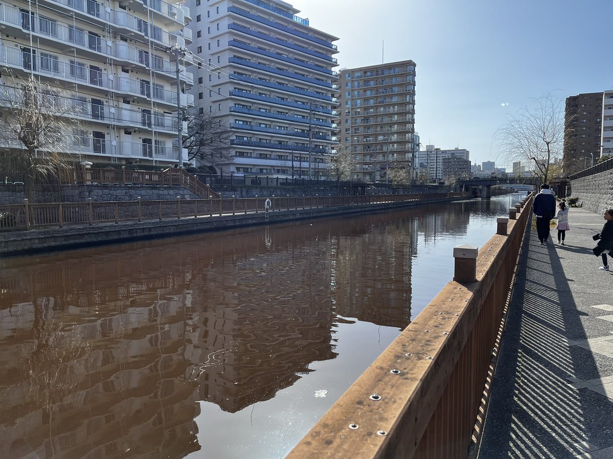 さっち tweet media