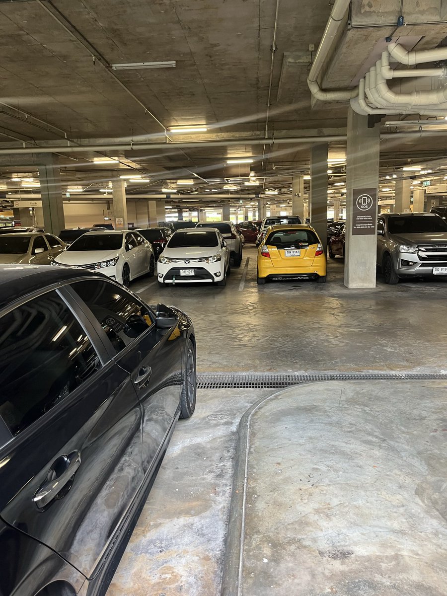 ลูกหยี• 100 ทวิต tweet media