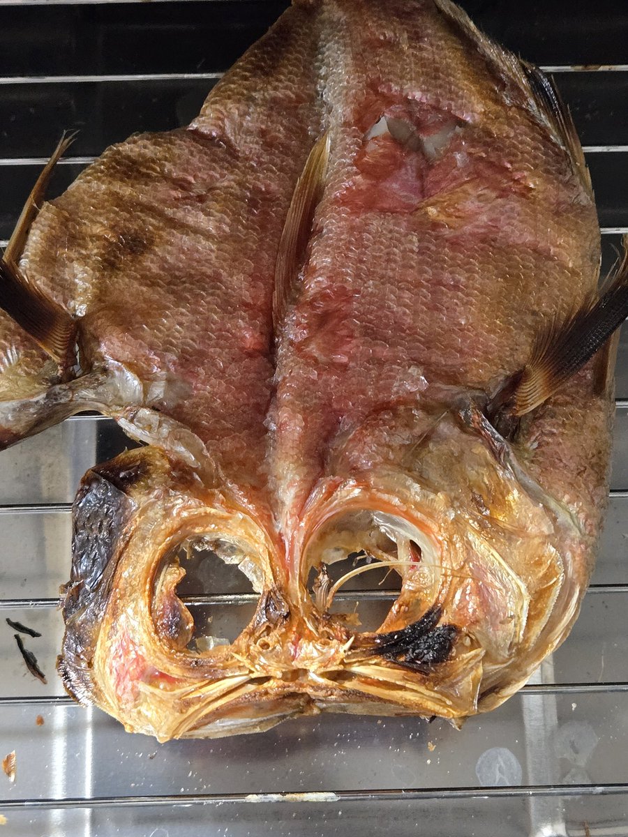 わしは鯛に目がなくてね
これは2月の温泉合宿の帰りに小田原駅で買うた金目鯛のひもの
目が合っちゃった
#早瀬のひもの
#金目鯛